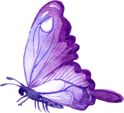 Butterfly purple watercolor illustration