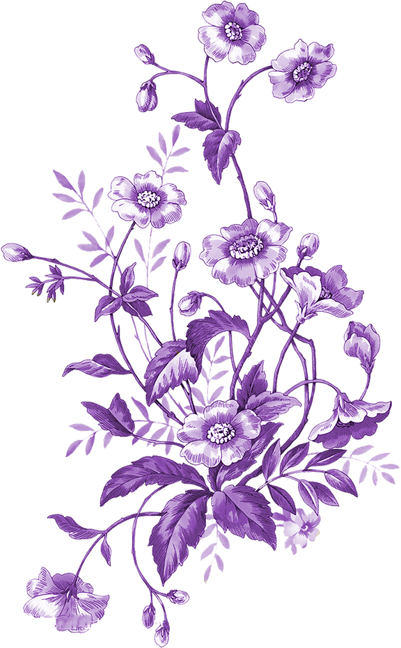 Purple Flowers Illustration 
